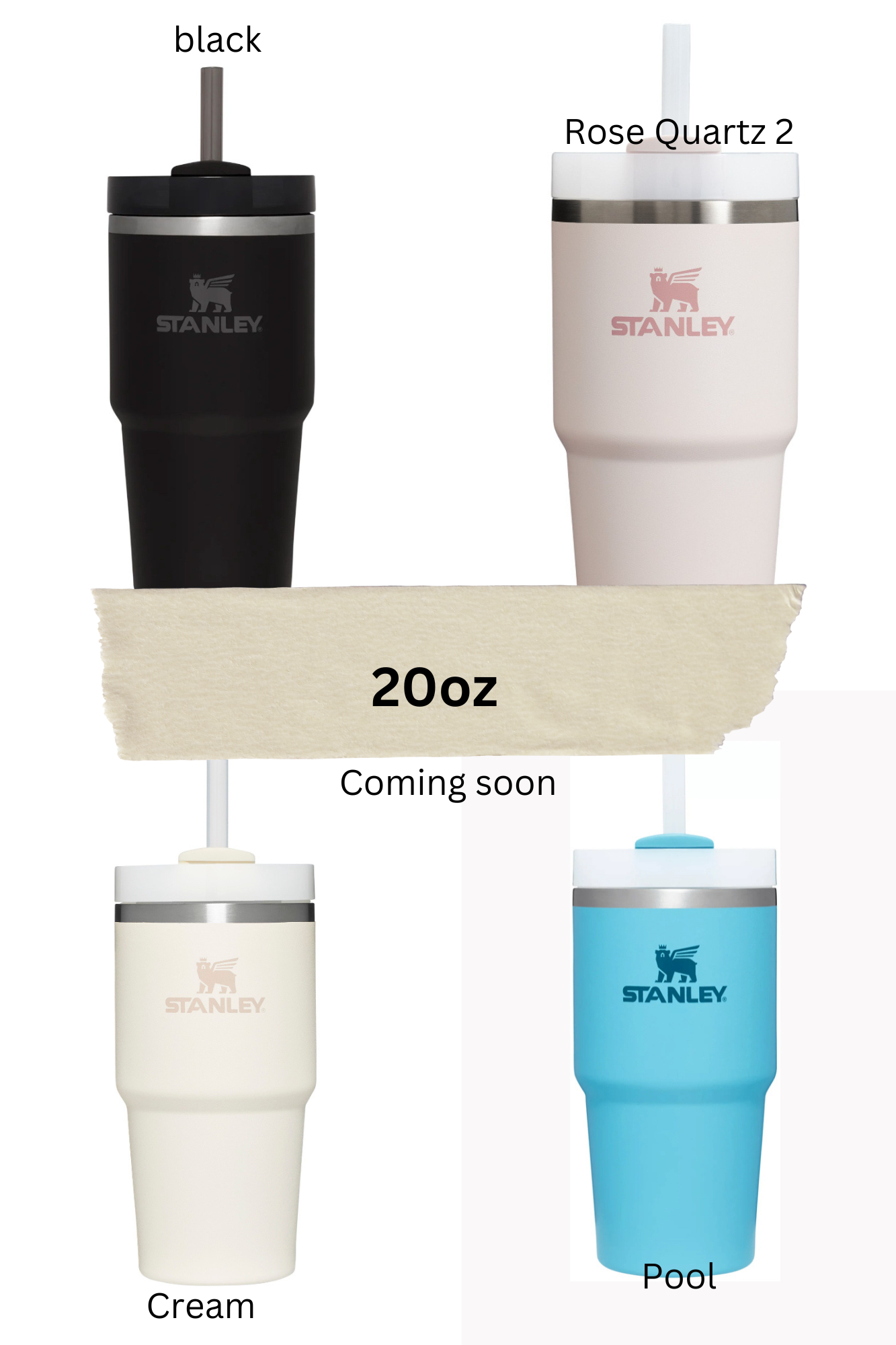 Pixie Dust Themed Custom Engraved 20 oz Tumblers