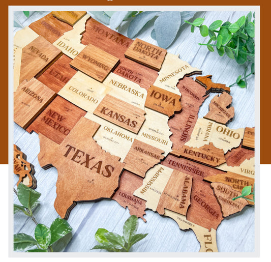 3D USA Map