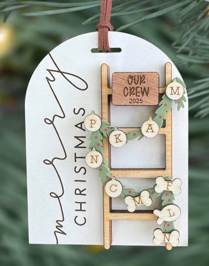 2025 Christmas Ornaments Options