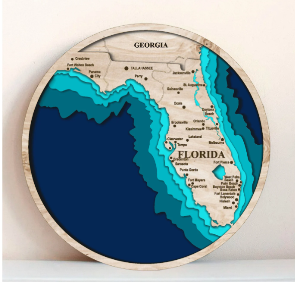 Florida State 3D Shape